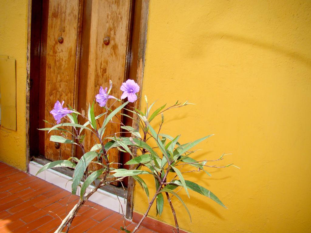 Hotel Casa Vieja Santa Marta  Bagian luar foto